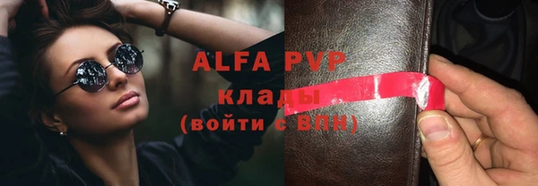 прущие грибы Покров